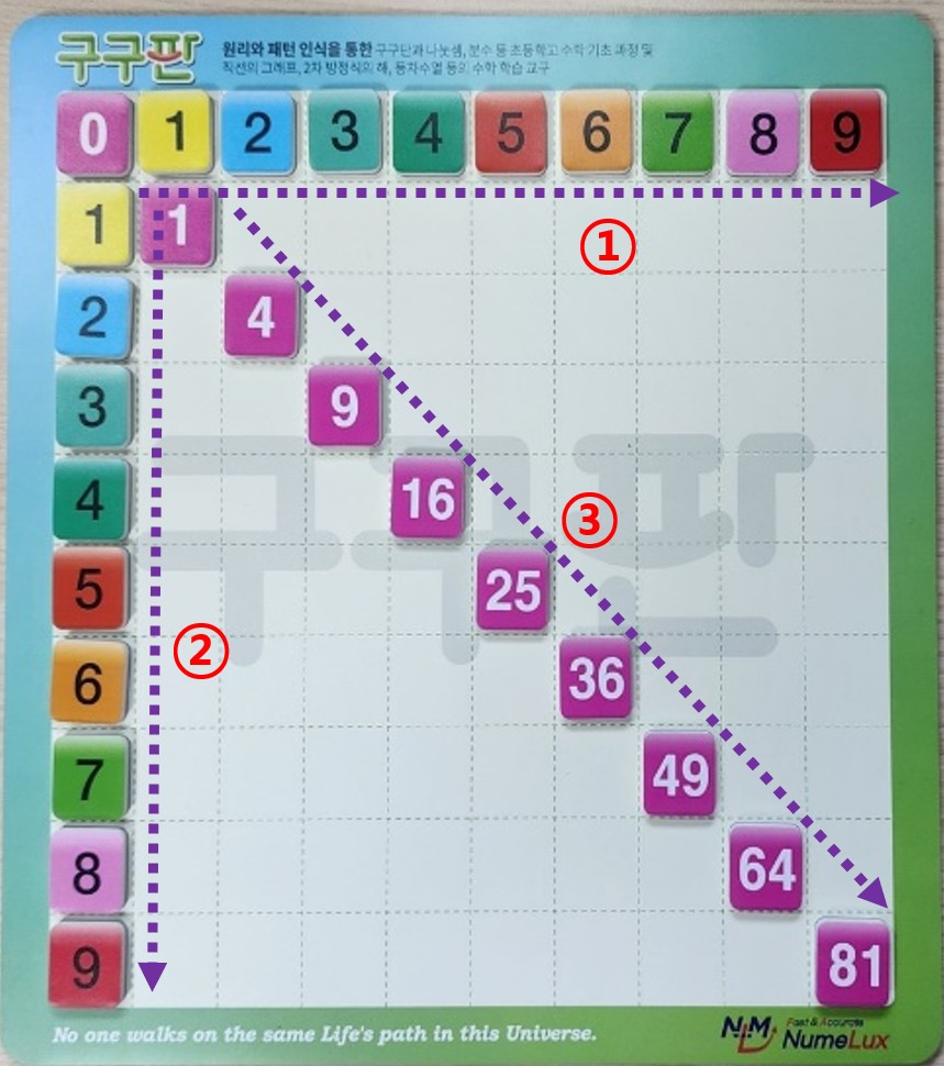 [뉴메룩스 구구판] 행복한 수학실력 향상 프로젝트 초등학생 구구단 놀이판 교구판 이미지 6