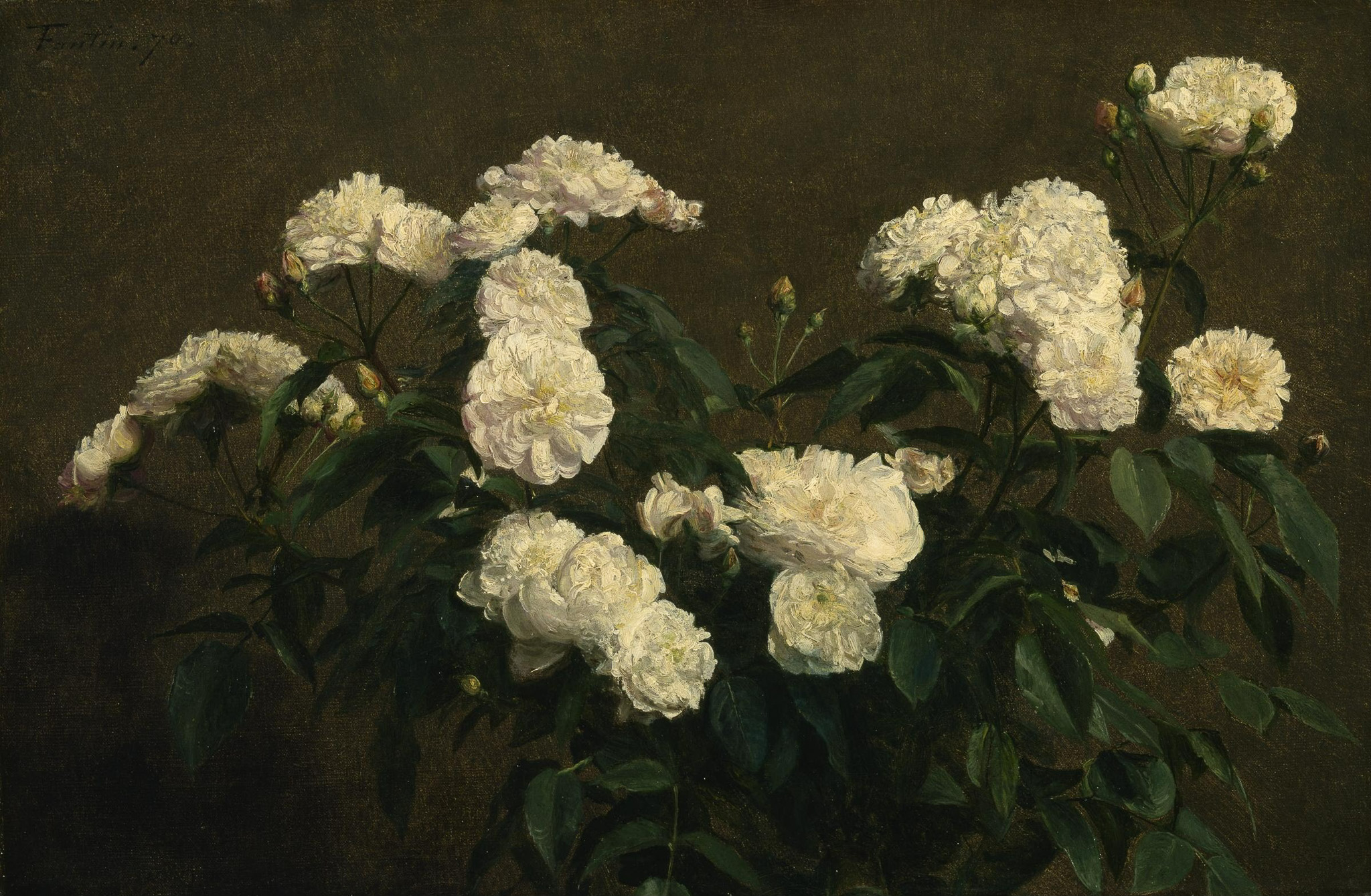 Still Life of White Roses 아트포스터 감성선물 라투르 - 상품 이미지