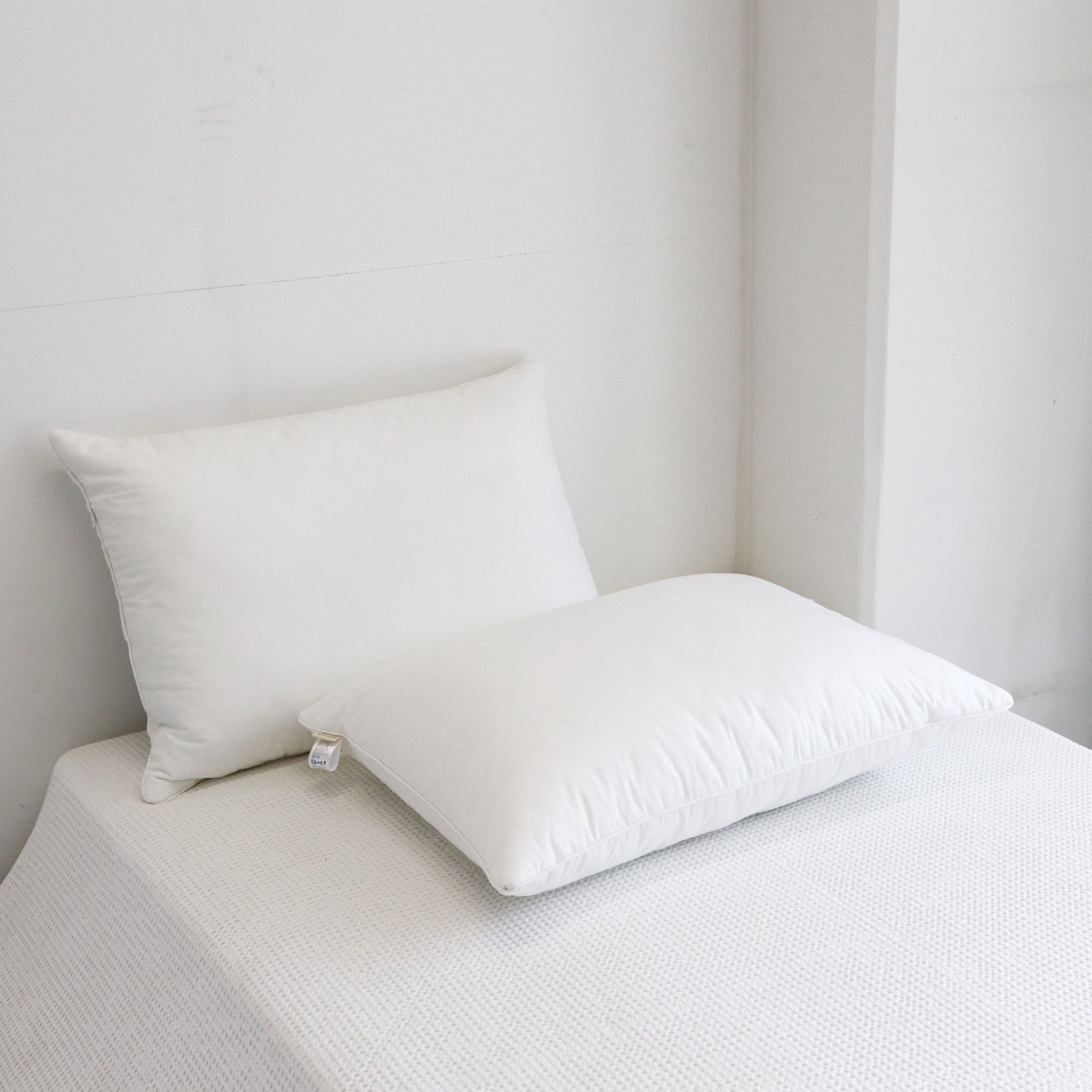 1+1 피넛버터젤리 빨아쓰는 호텔식 저데니아 향균 베개솜 50x70 마이크로화이바 통세탁