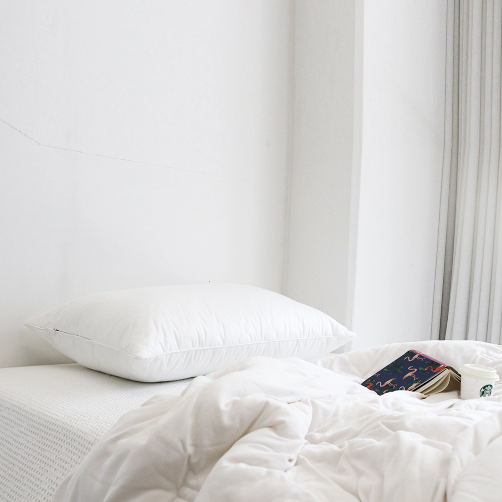 1+1 피넛버터젤리 빨아쓰는 호텔식 저데니아 향균 베개솜 50x70 마이크로화이바 통세탁