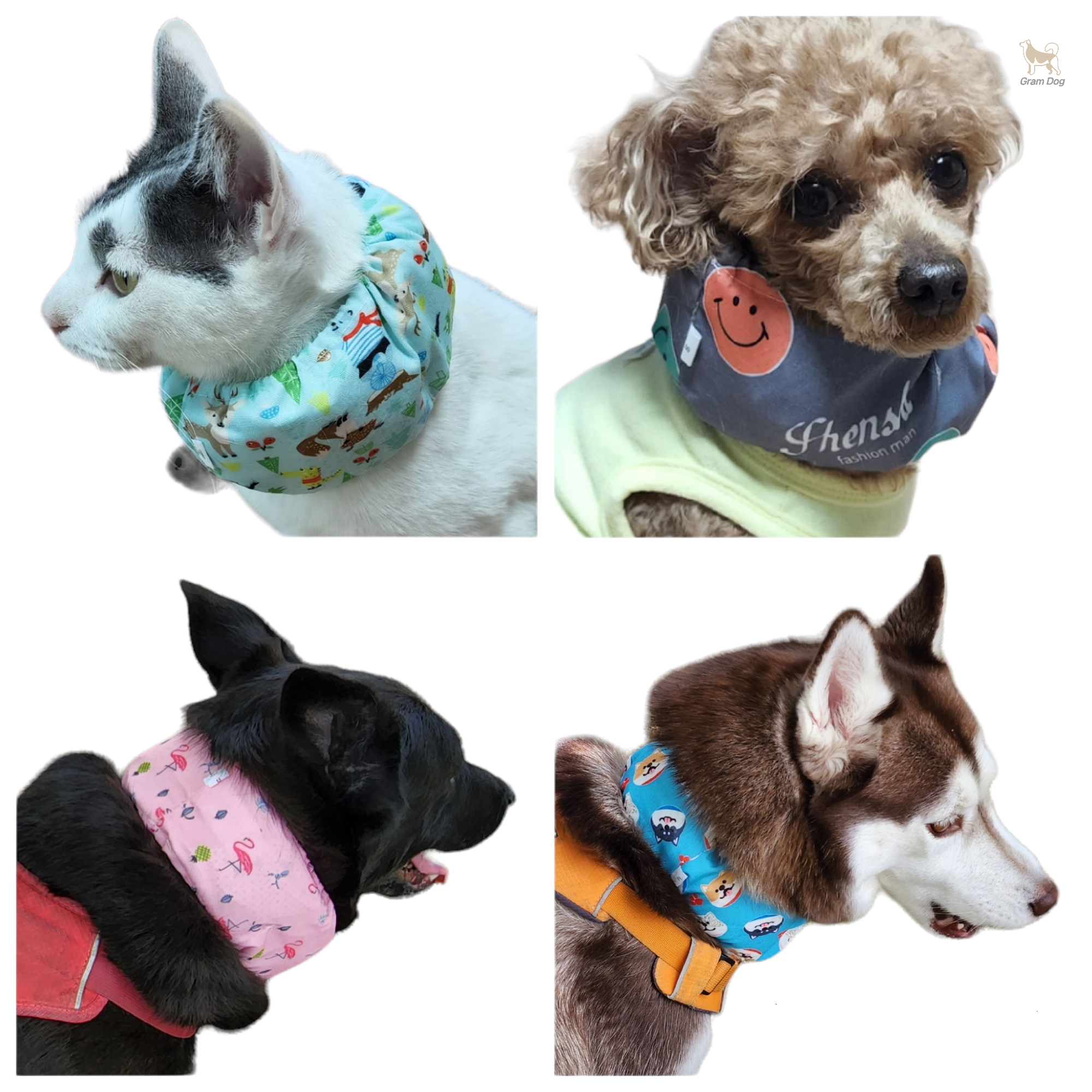 강아지 쿨 스카프 머플러 케이프 애견 여름 목도리 블루S