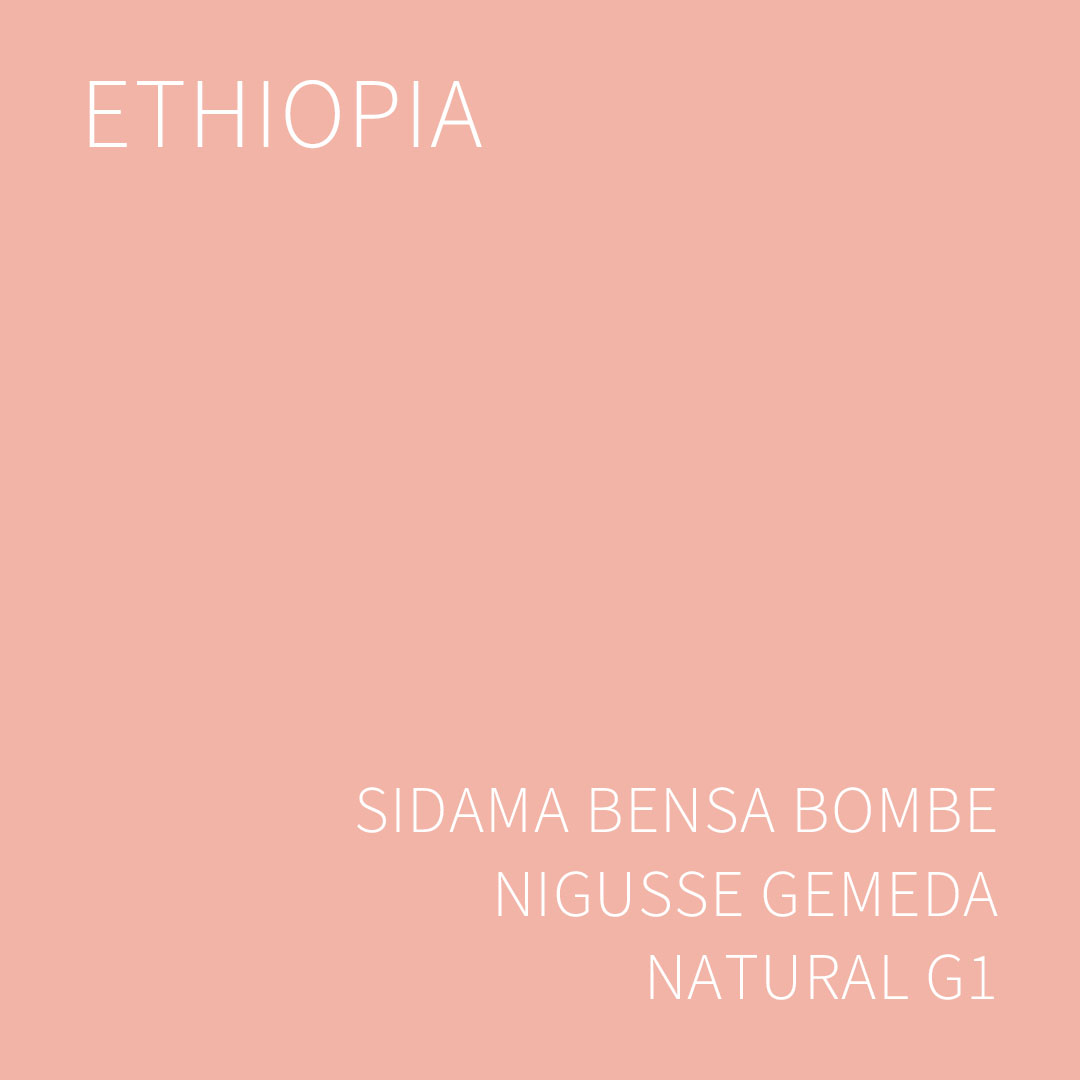 에티오피아 시다마 벤사 봄베 니구세 게메다 내추럴 G1 5KG (SIDAMA BENSA BOMBE NIGUSSE GEMEDA NATURAL)