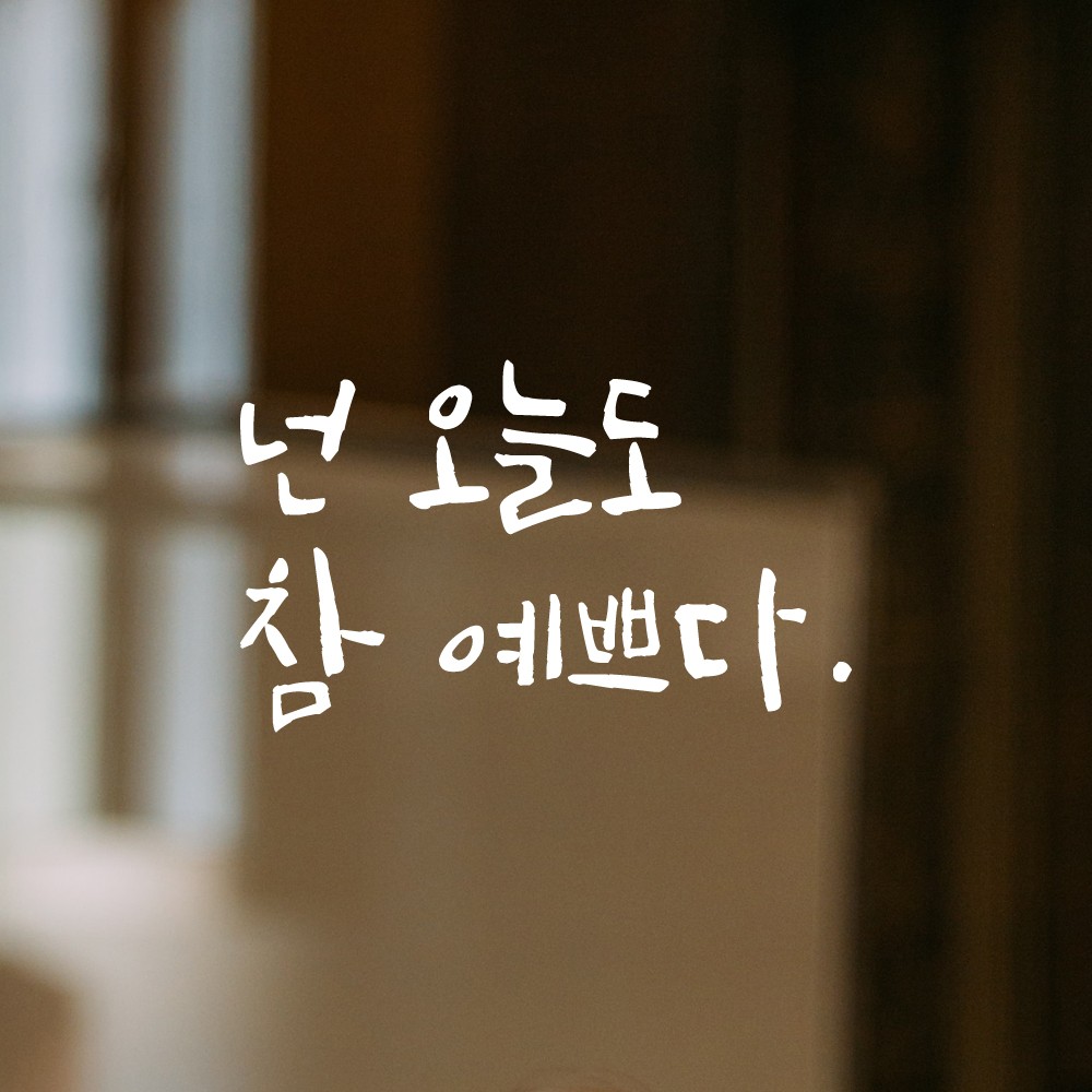 거울 현관문 옷가게 화장실 욕실 카페 캘리그라피 레터링 스티커 넌 오늘도 참 예쁘다 LC-016S 검정 이미지 8