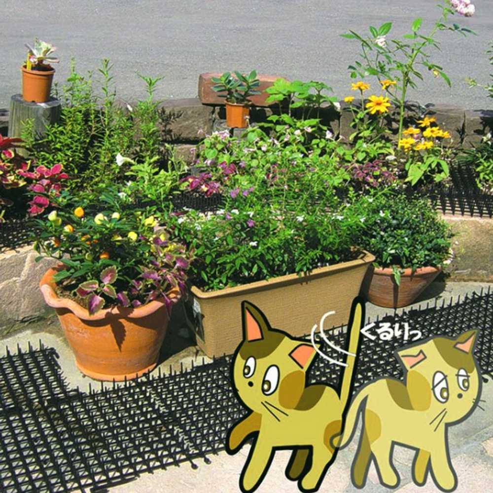 고양이 접근방지 매트 가시 장판 난간 반려견 가림막 검정색 2m x 30cm M - 상세 이미지 4
