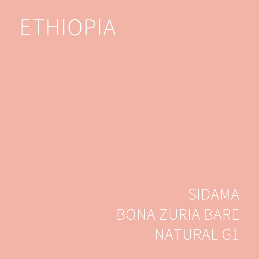 에티오피아 시다마 보나 주리아 바레 내추럴 G1 1KG (ETHIOPIA SIDAMA BONA ZURIA BARE NATURAL)
