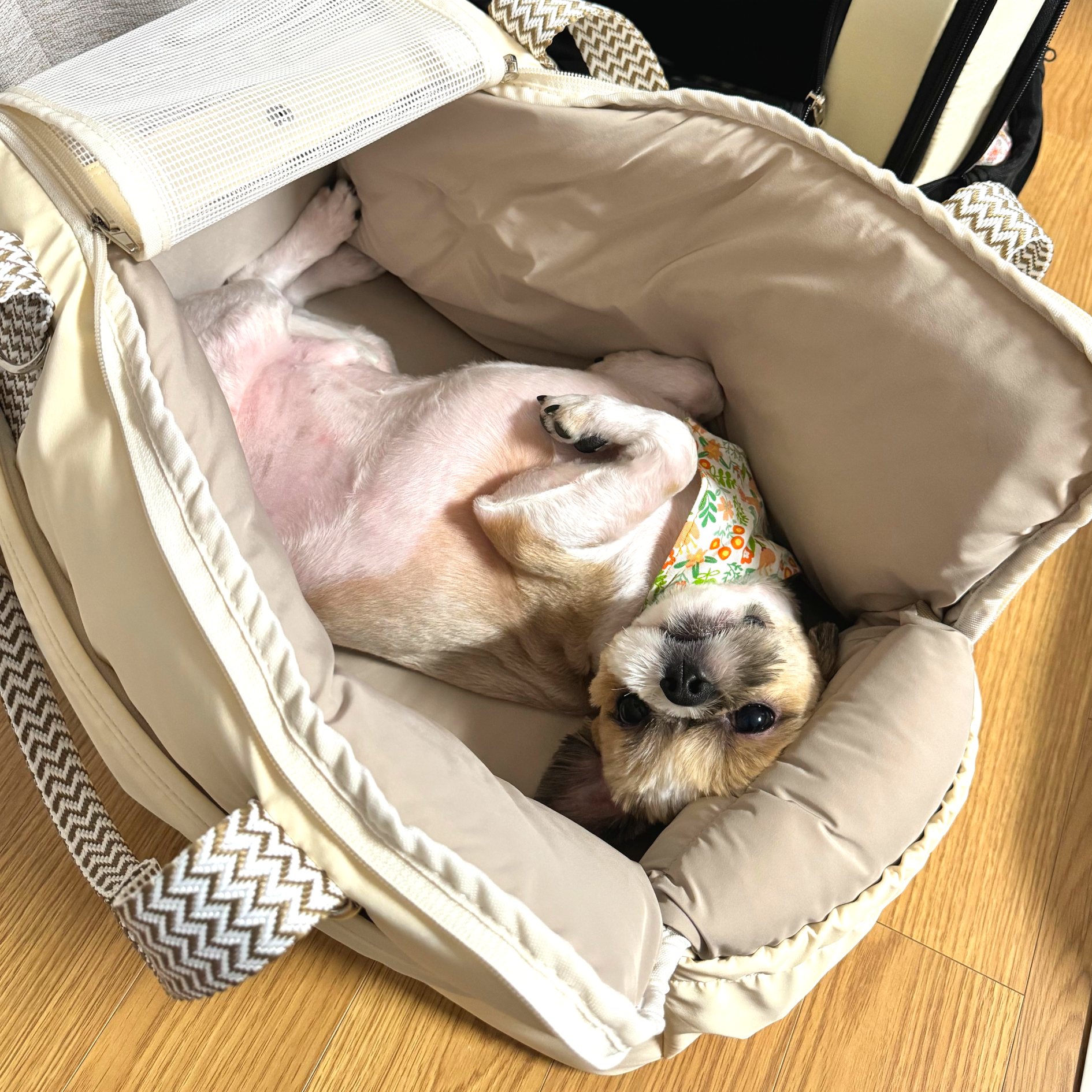 강아지 가방 고양이 이동장 애견 이동가방 중형견 숄더백 헤링본 고양이 슬링백 S - 상세 이미지 2