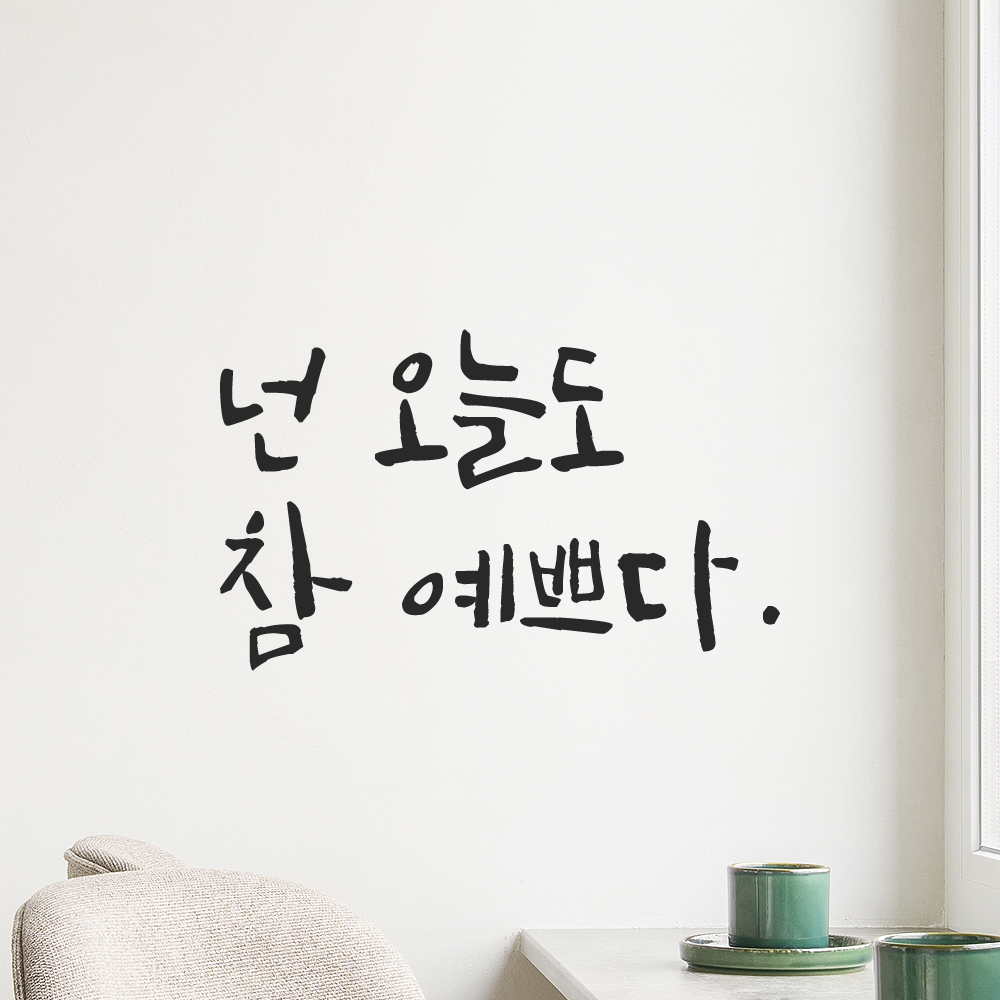거울 현관문 옷가게 화장실 욕실 카페 캘리그라피 레터링 스티커 넌 오늘도 참 예쁘다 LC-016S 검정 이미지 6