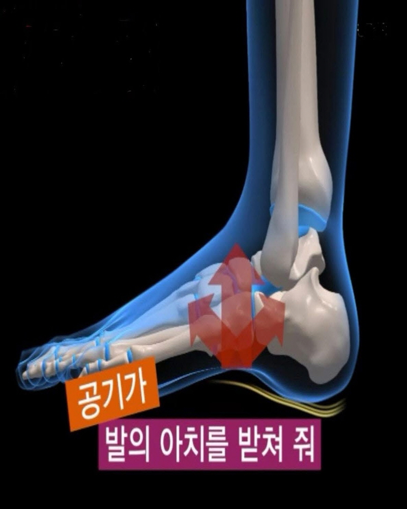 깔창 아치 신발 키높이 운동화 구두 기능성 오다리 지압 쿠션 족저근막 평발 무지외반증 풋 - 상세 이미지 4