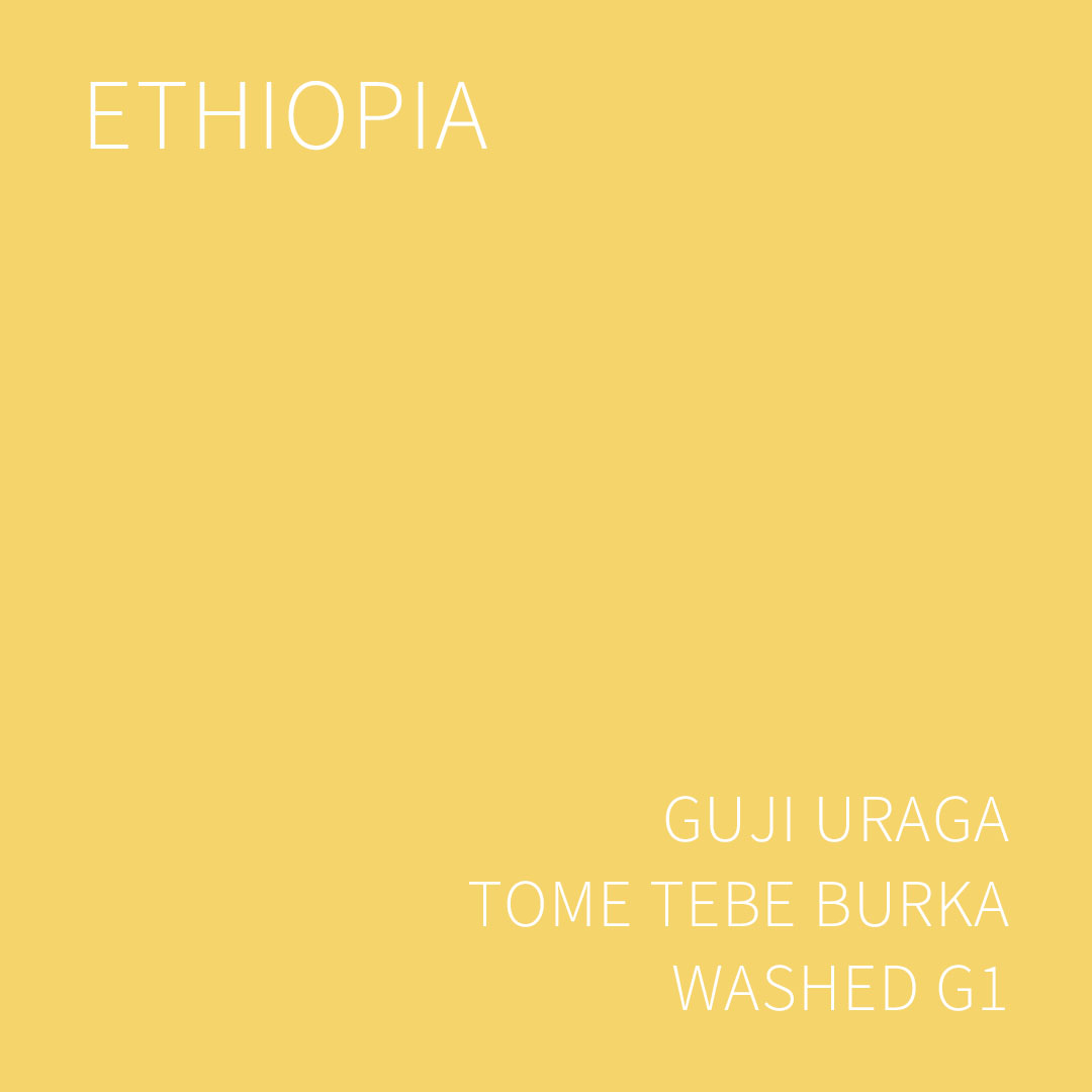 에티오피아 구지 우라가 토메 테베 부르카 워시드 G1 5KG (ETHIOPIA GUJI URAGA TOME TEBE BURKA WASHED)