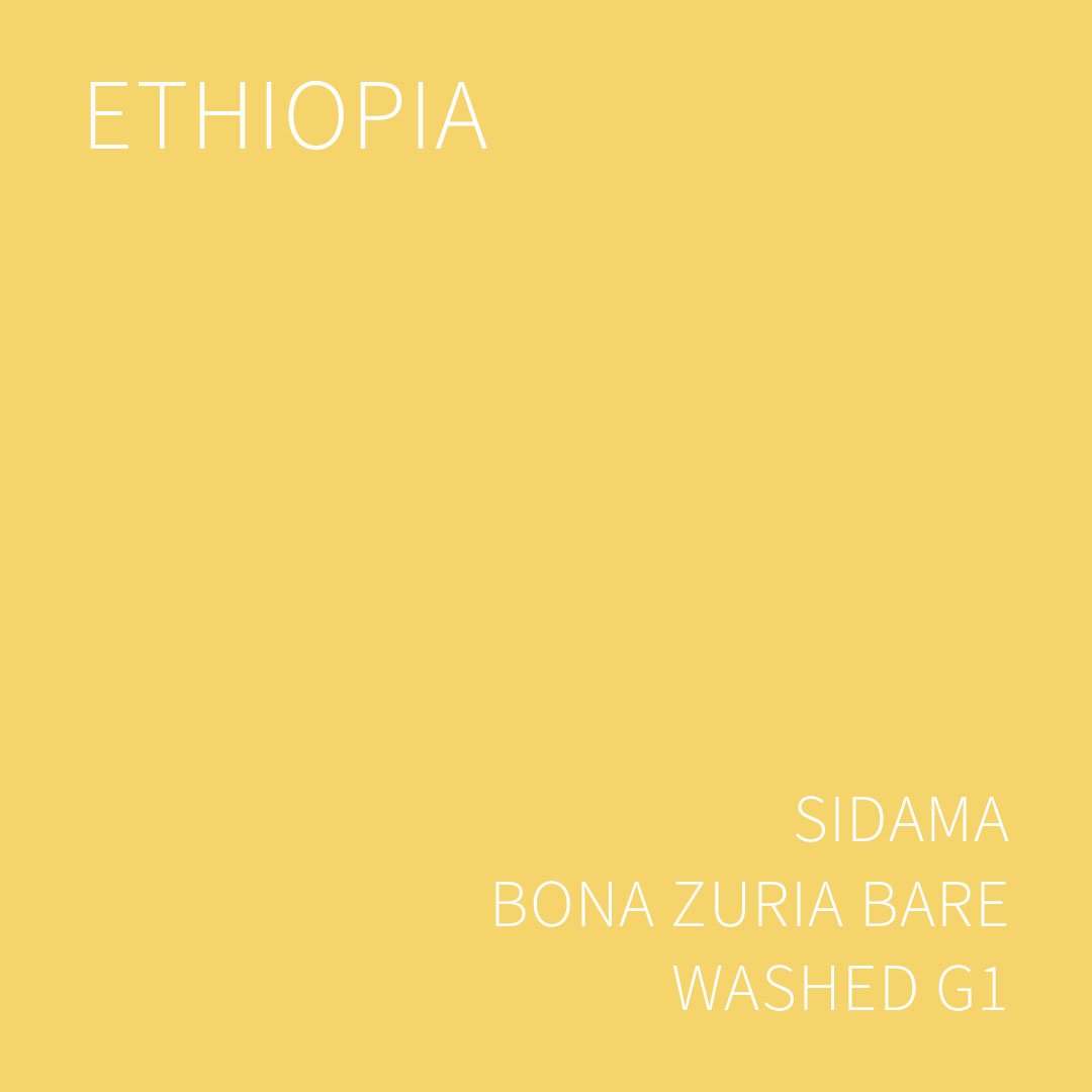 에티오피아 시다마 보나 주리아 바레 워시드 G1 5KG (ETHIOPIA SIDAMA BONA ZURIA BARE WASHED)