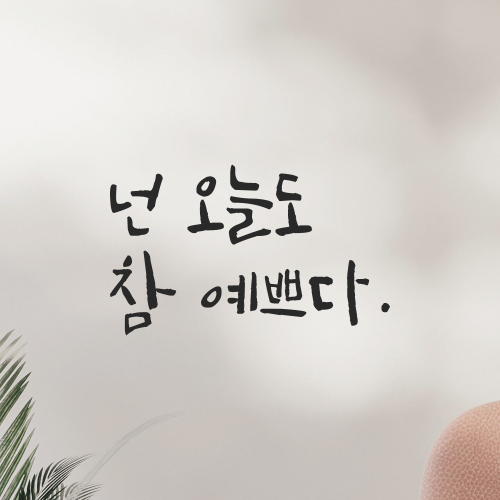 거울 현관문 옷가게 화장실 욕실 카페 캘리그라피 레터링 스티커 넌 오늘도 참 예쁘다 LC-016S 검정 이미지 7
