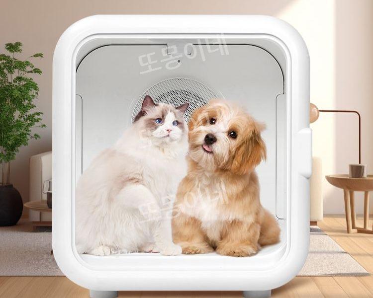 펫 드라이룸 강아지 고양이 드라이기 건조 애견 애완동물 관리 미용 펫 용품 목욕 관리 강아지 고양이 케어