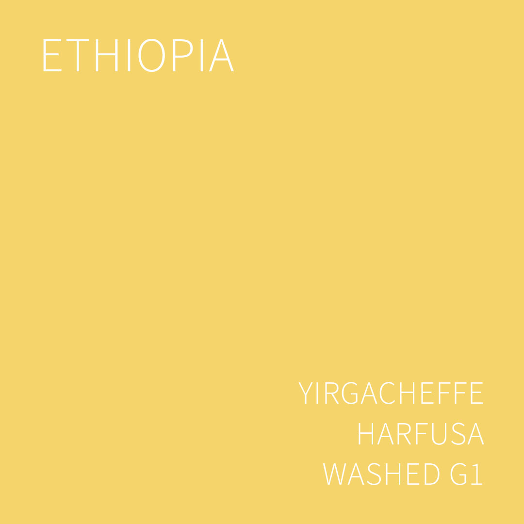 에티오피아 예가체프 하르푸사 워시드 G1 5KG (ETHIOPIA YIRGACHEFFE HARFUSA WASHED)