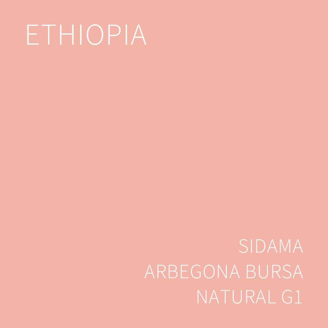 에티오피아 시다마 아르베고나 부르사 내추럴 G1 5KG (ETHIOPIA SIDAMA ARBEGONA BURSA NATURAL)