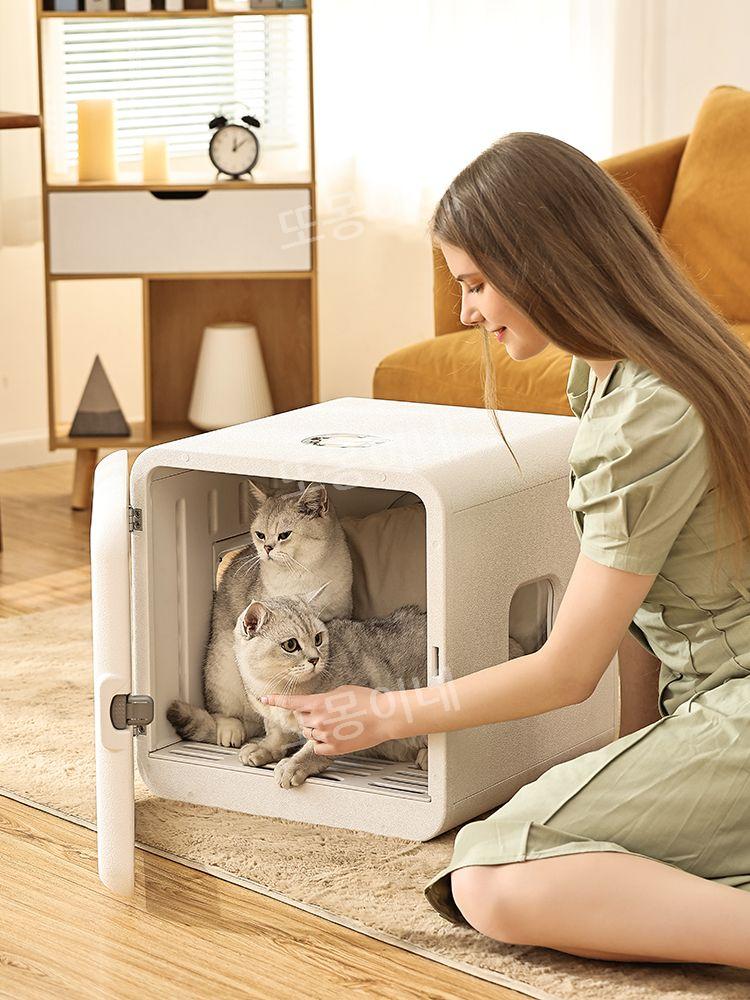 펫 드라이룸 강아지 고양이 건조 드라이기 애견 애완동물 관리 미용 펫 용품 목욕 관리 강아지 고양이 케어