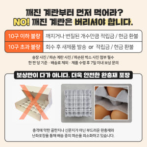 파손보상 맥반석 구운계란 반숙란 대란 30구 달걀 맛있게 먹은 솔직 후기 - 상품 이미지 3