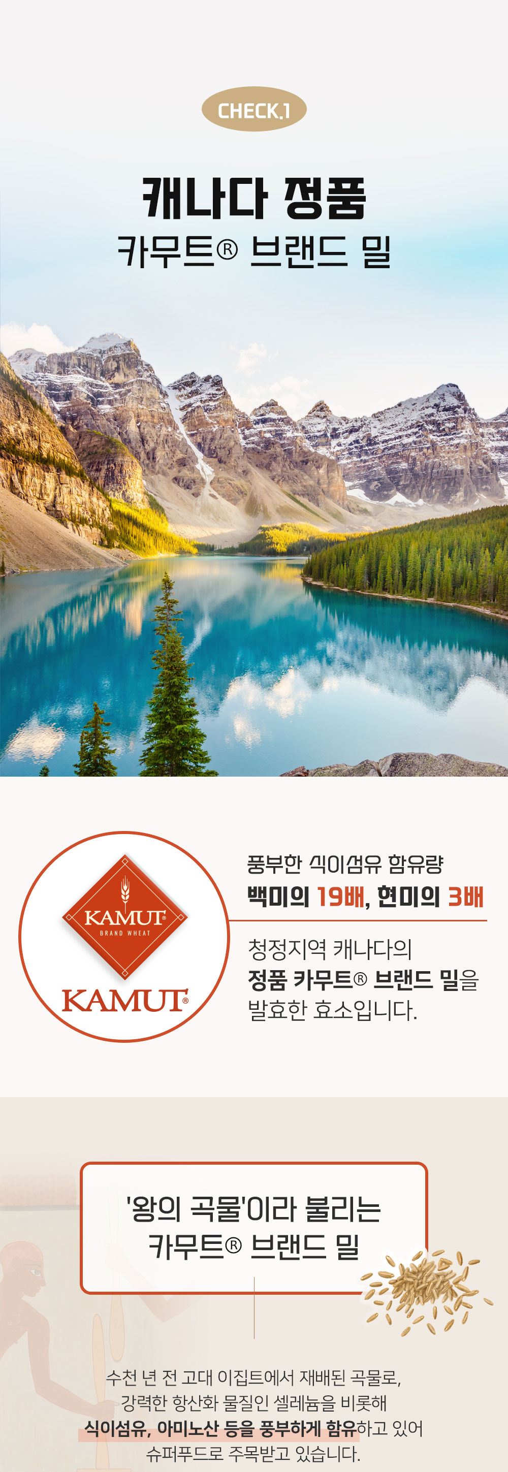 머거요 편안한 카무트 브랜드밀 효소 30포, 3개 - 상세 이미지 5