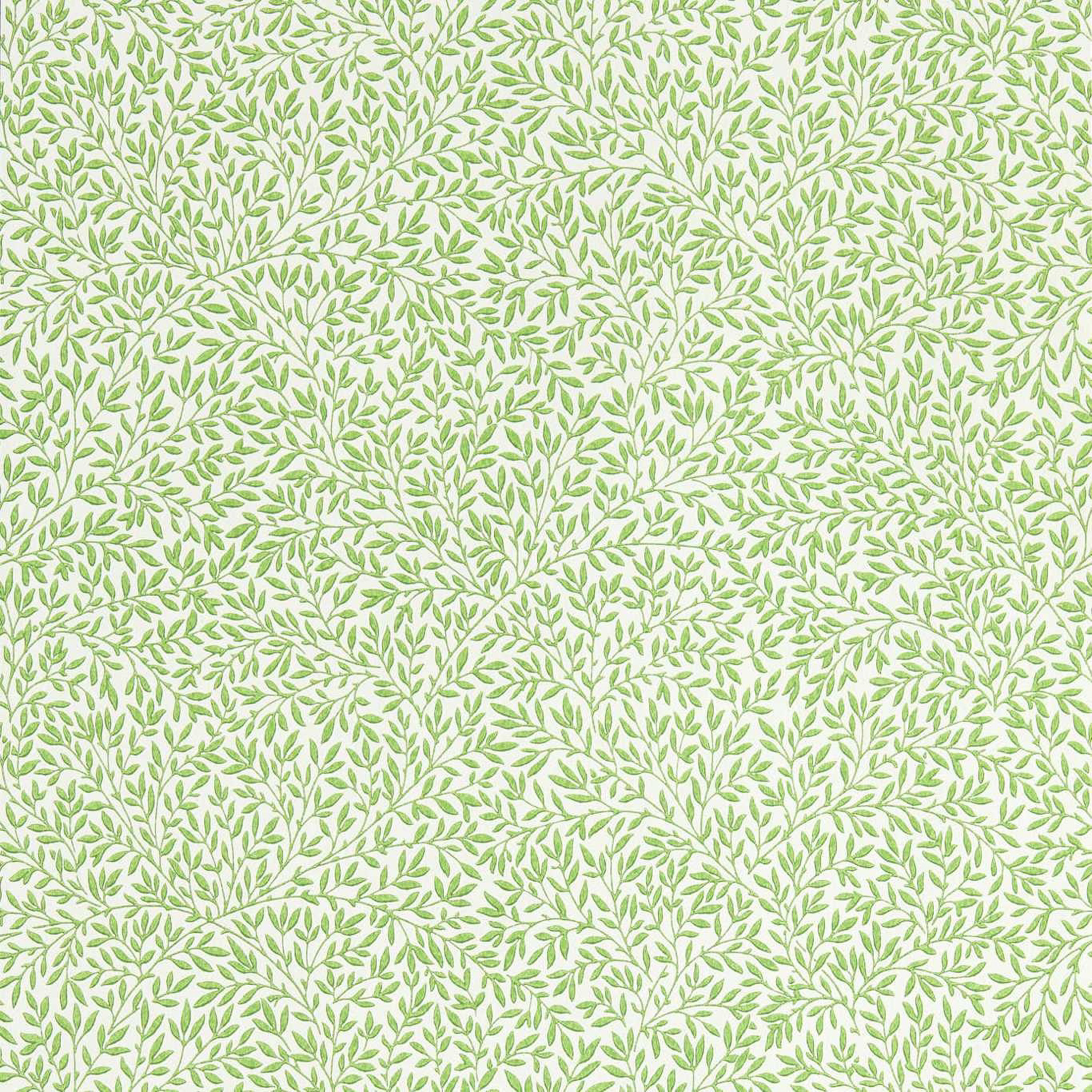 leaf green 아트포스터 감성선물 모리스 - 메인 이미지