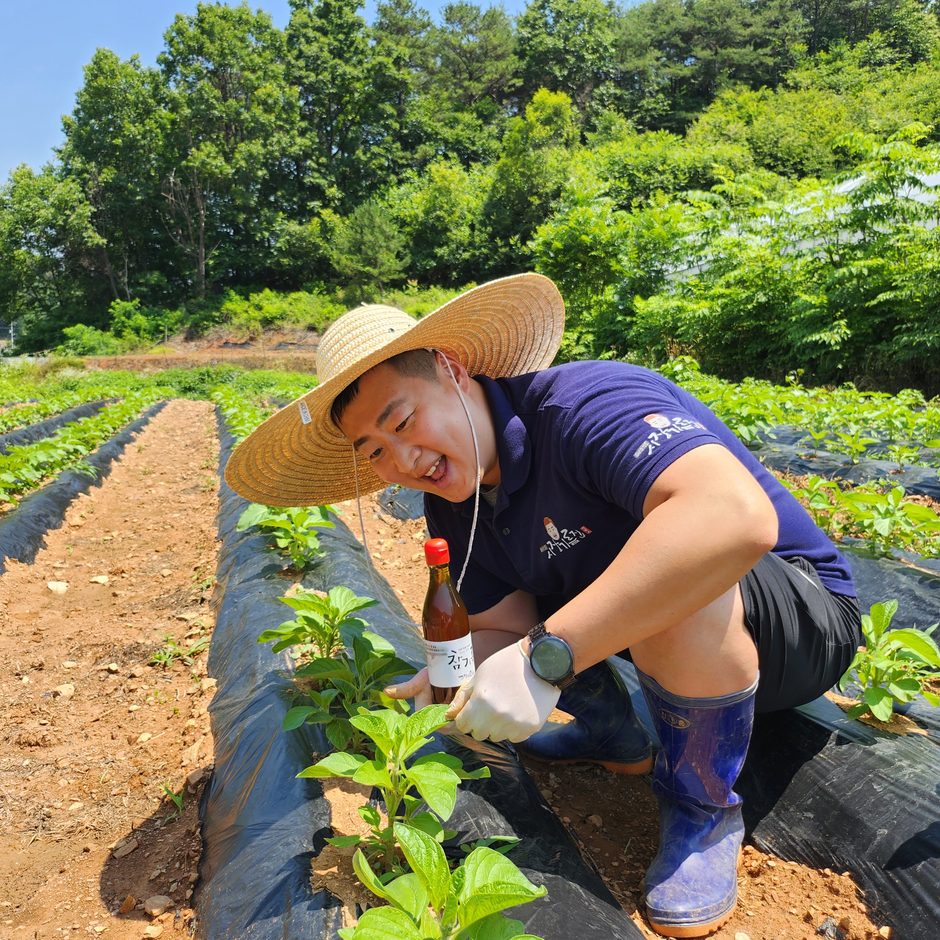 볶음통깨 300g 로스팅 볶음참깨 - 상세 이미지 3