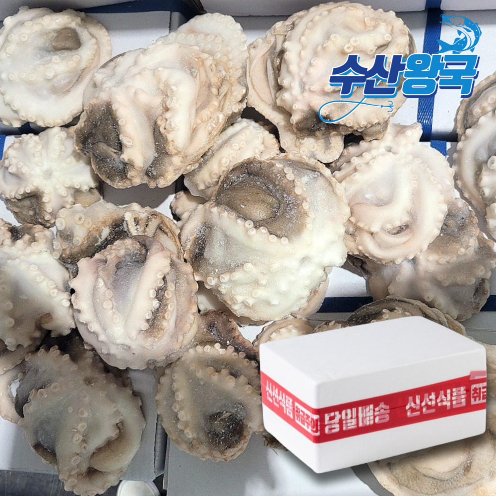 왕쭈꾸미 주꾸미 200/300 300/500 5kg 25마리 15마리 내외 벌크 업소용 : 수산 왕국