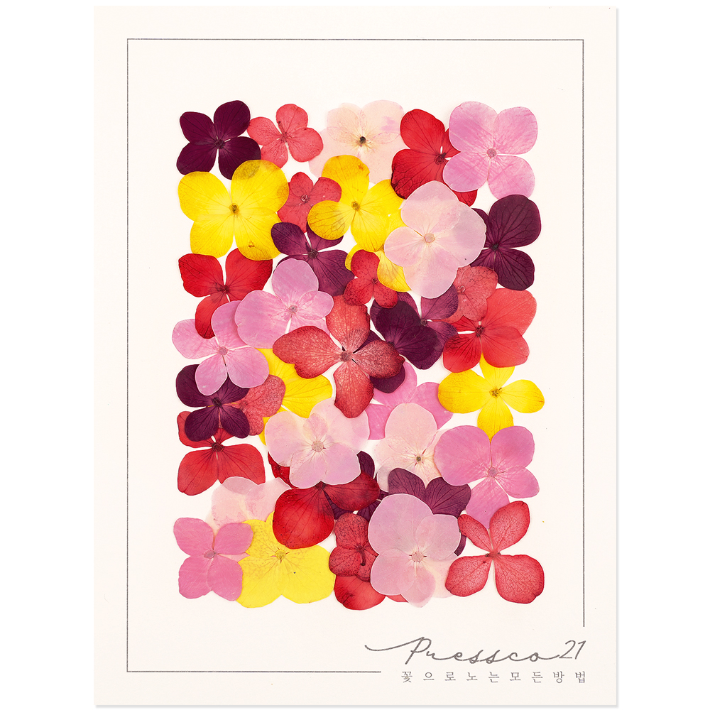 프레스코21 압화 꽃송이 수국(빨강혼합) 40p - 상품 이미지
