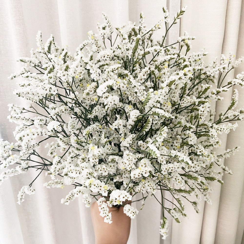 시네신스 반단 꽃배달 싼곳 생화 택배 꽃정기구독