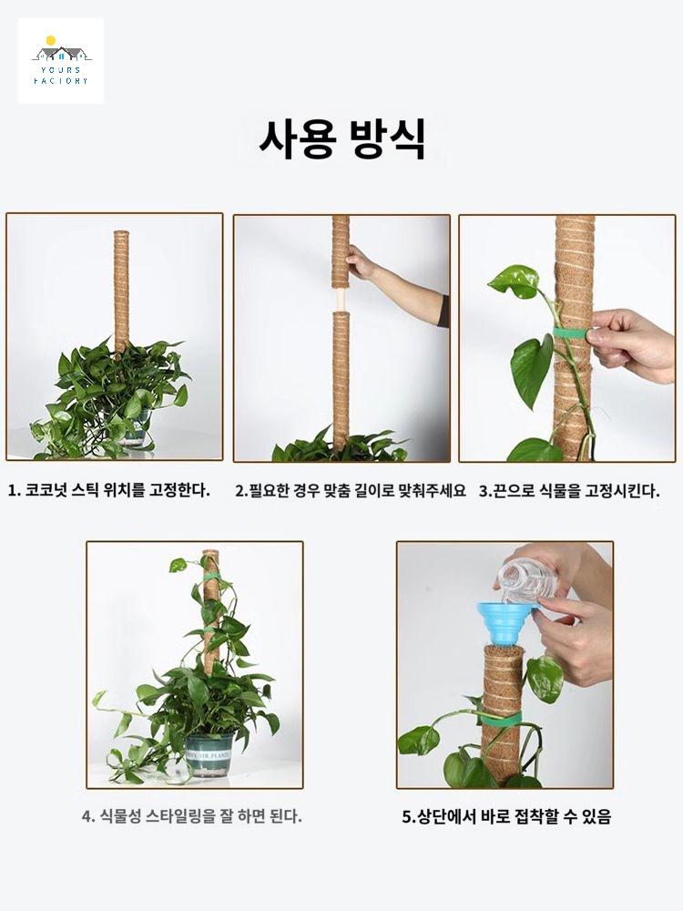 수태봉 넛 기둥 식물고정 야자 몬스테라 스틱 지지대 - 상세 이미지 3