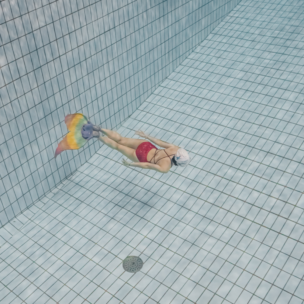 PADI 머메이드 다이빙 자격증 레벨1 강습 서울 경기 패디 베이직 머메이딩 입문 교육 이미지 3