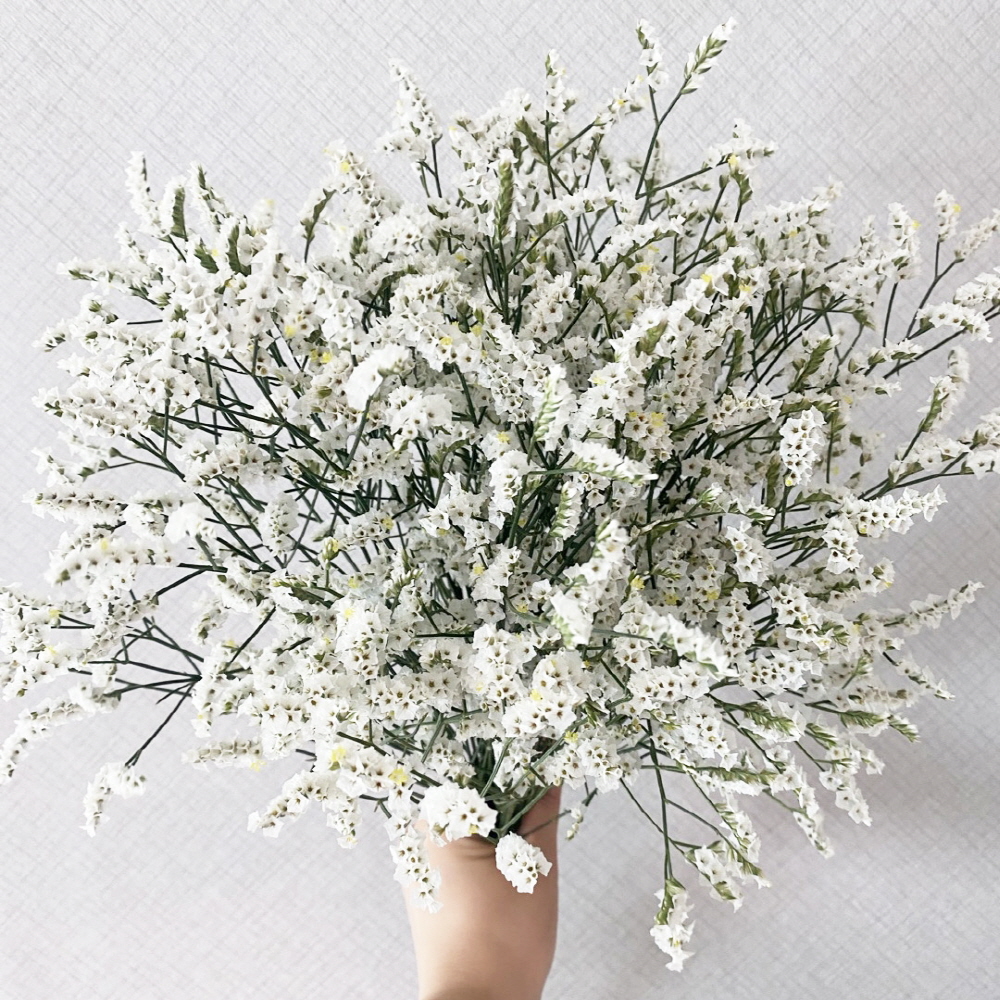 시네신스 반단 꽃배달 싼곳 생화 택배 꽃정기구독