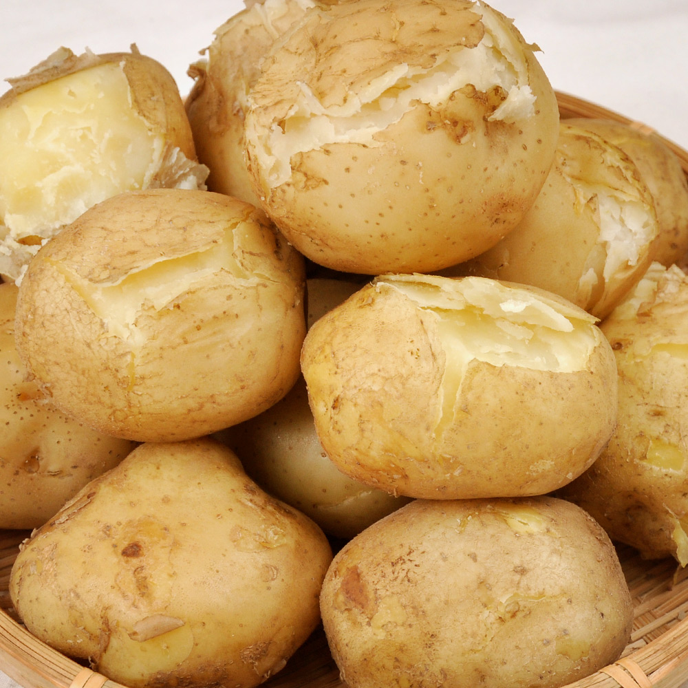 2025년 감자 수미감자 알