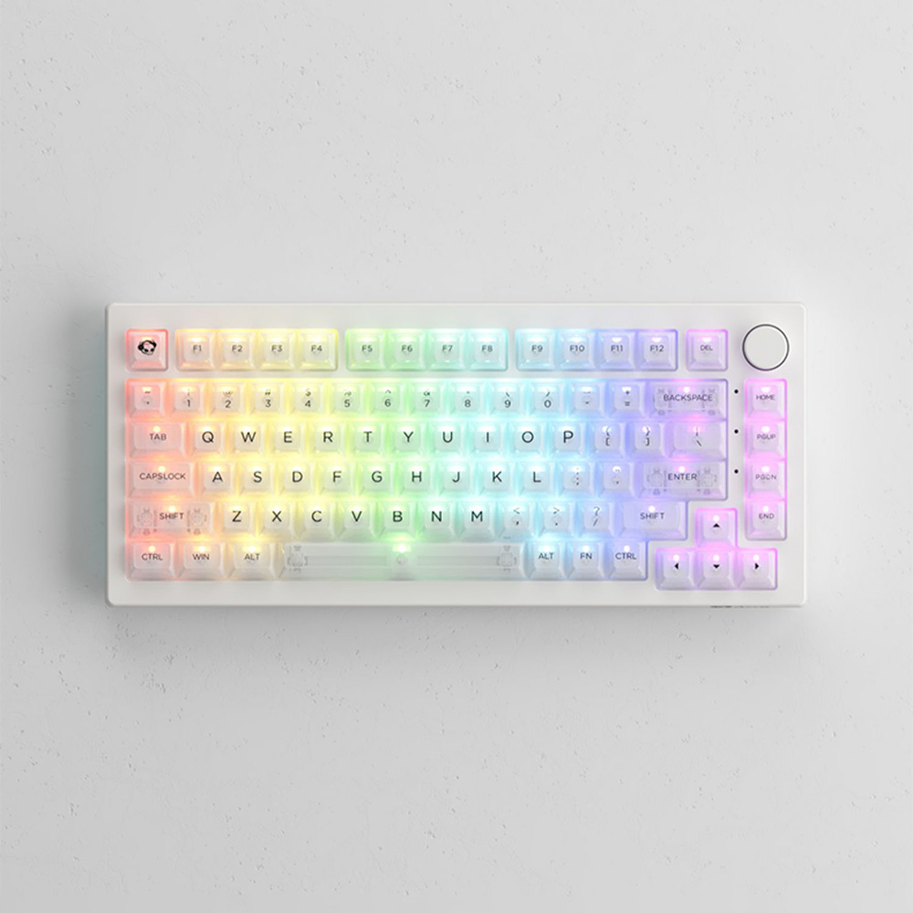 Akko 클리어 화이트 키캡 LED 투과 투명 PC ASA 155키 아코 독거미 레이니 - 상세 이미지 3