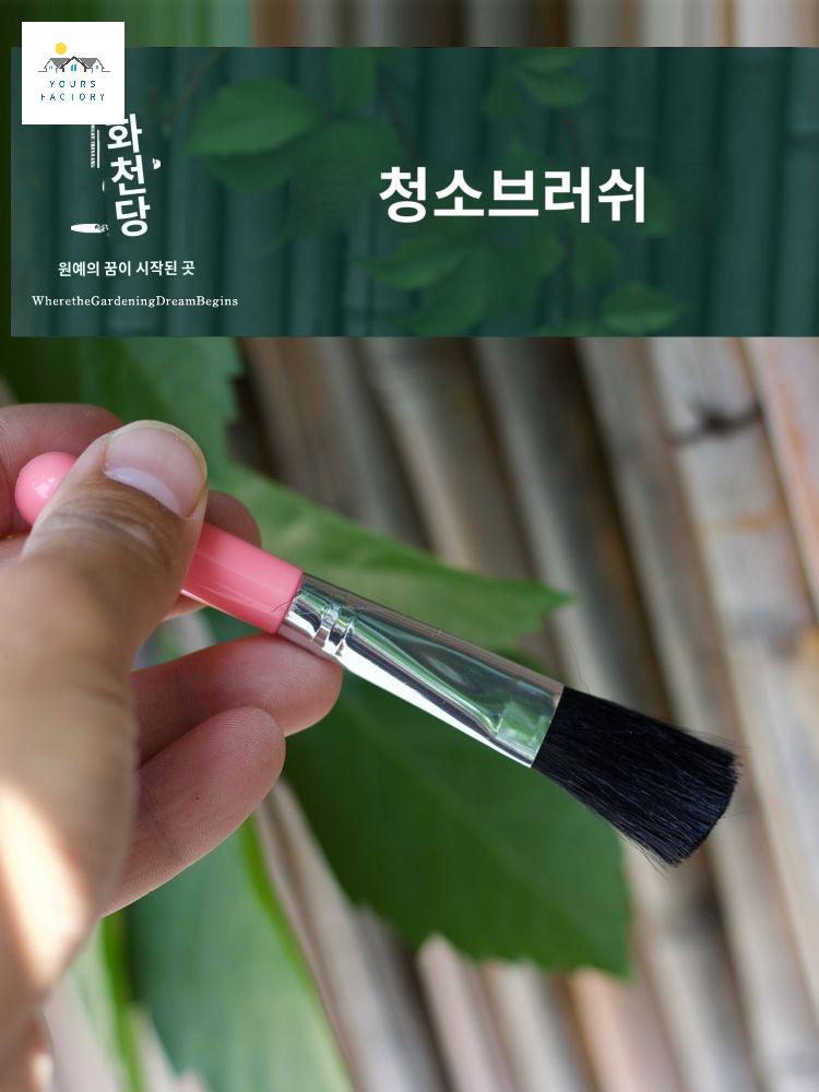 브러쉬 먼지제거 다육이 다용도 청소 선인장 브러시 - 상세 이미지 4