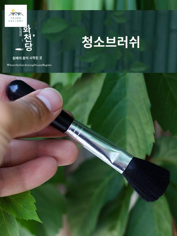브러쉬 먼지제거 다육이 다용도 청소 선인장 브러시 - 상세 이미지 3