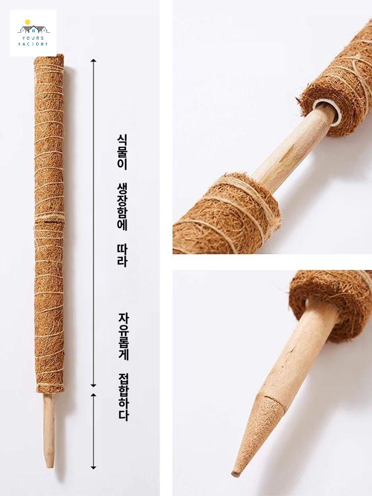 수태봉 넛 기둥 식물고정 야자 몬스테라 스틱 지지대 - 상세 이미지 4