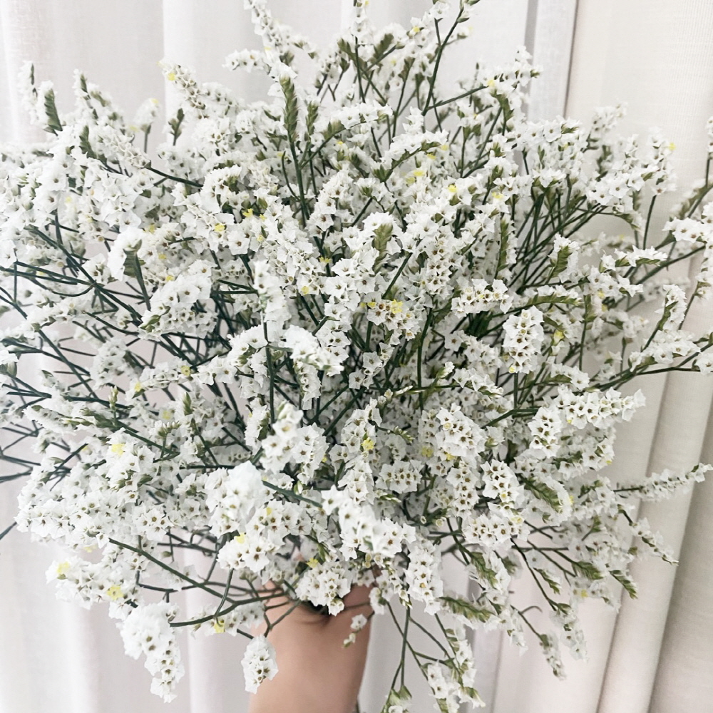 시네신스 반단 꽃배달 싼곳 생화 택배 꽃정기구독