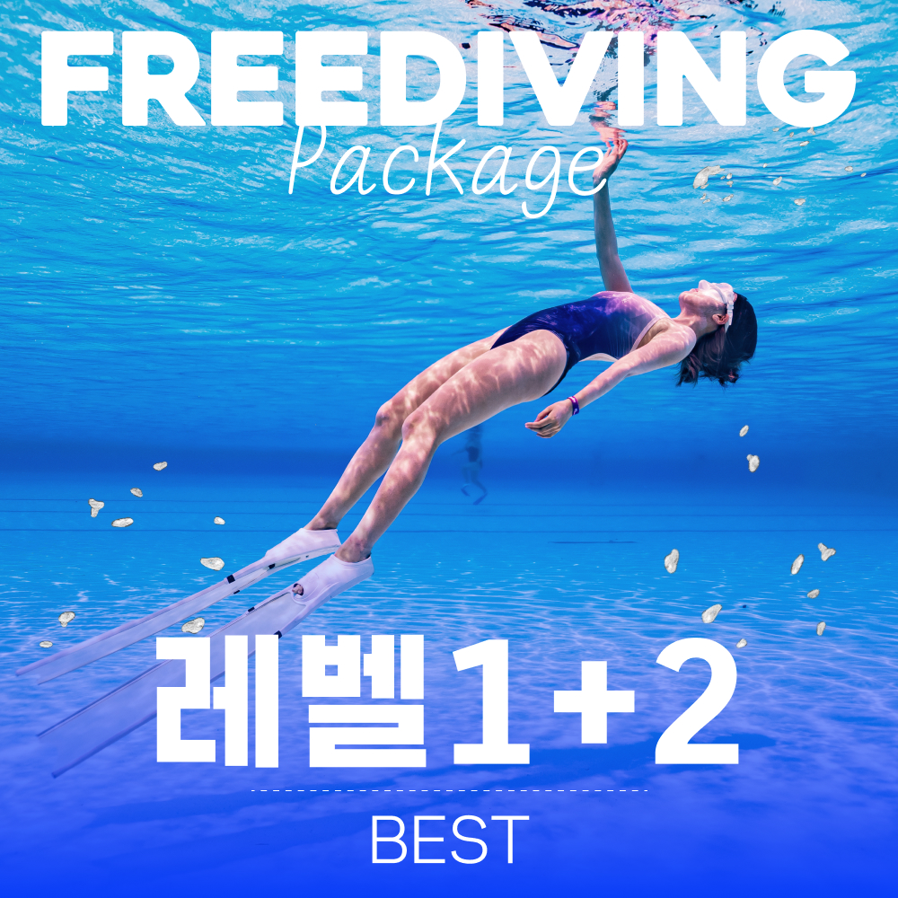 서울 경기 프리다이빙 강습 입문 초급 패키지 교육 AIDA PADI 레벨 1+2 자격증