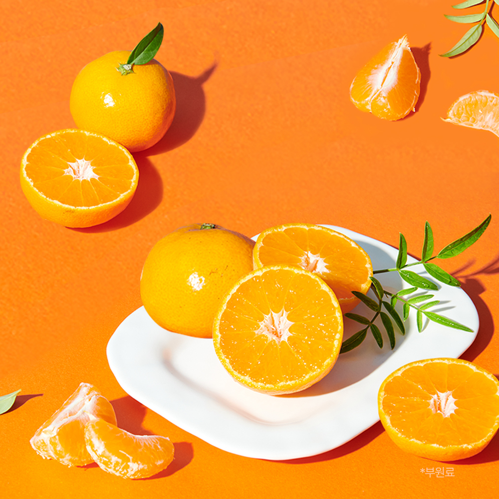 비타튼튼 유아 키즈 어린이 아기 멀티비타민 종합 젤리 15포