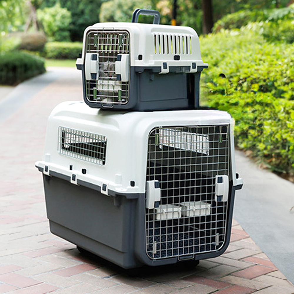 개과천선 브리즈 강아지 켄넬 이동장 여행 애견 하드 캐리어 이동가방