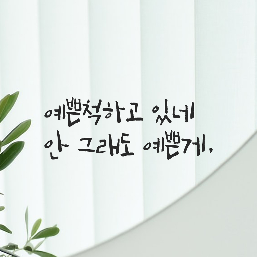 캘리그라피 레터링 스티커 예쁜척하고 있네 안 그래도 예쁜게 LC-003S 검정 - 상품 이미지