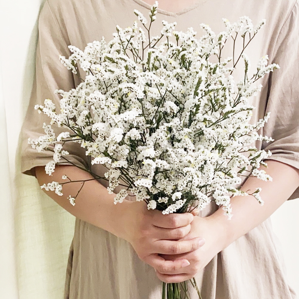 시네신스 반단 꽃배달 싼곳 생화 택배 꽃정기구독