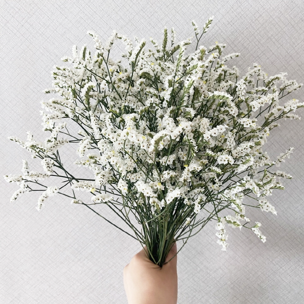 시네신스 반단 꽃배달 싼곳 생화 택배 꽃정기구독