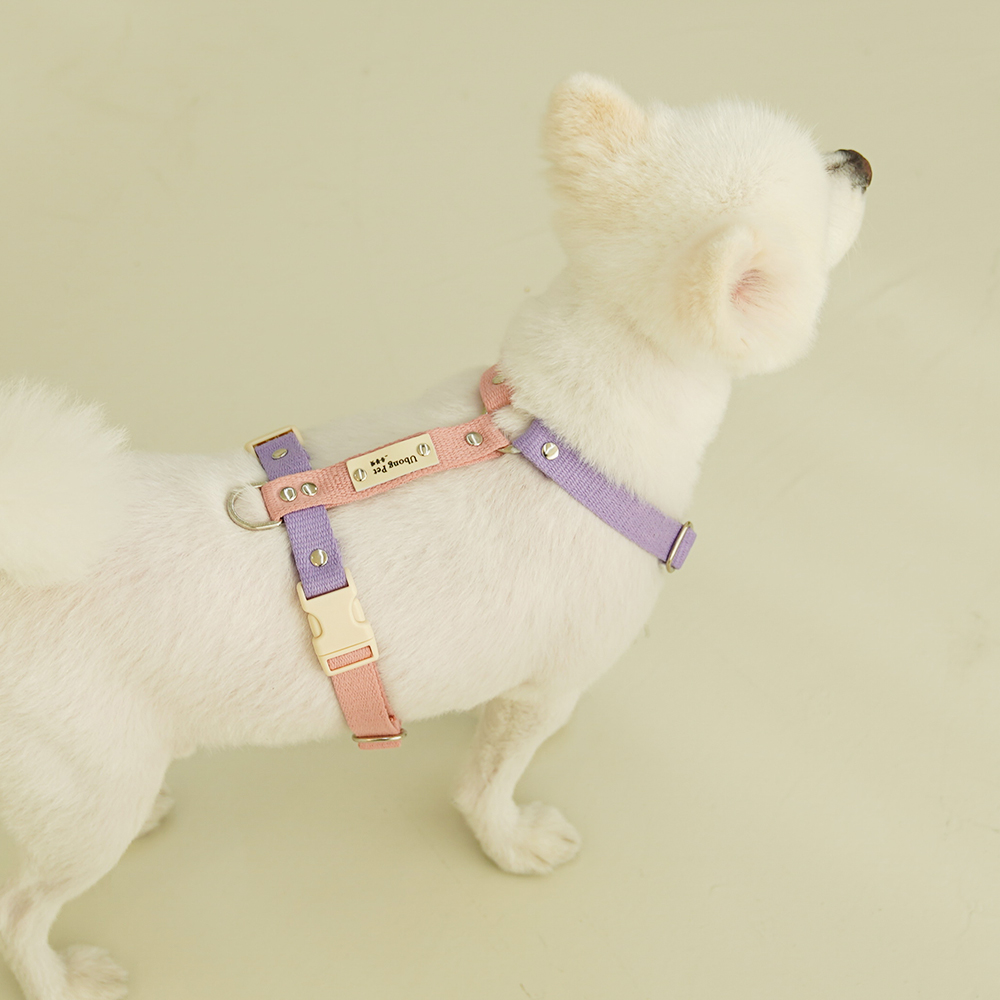 강아지 인식표 하네스 앞섬방지 H형 소형견 가슴줄 기본형 XS