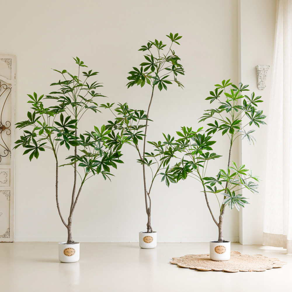 쉐프렐라 홍콩야자 파키라 인테리어 인조목 조화 나무 화분 카페 거실 조경 A150cm - 상세 이미지 2