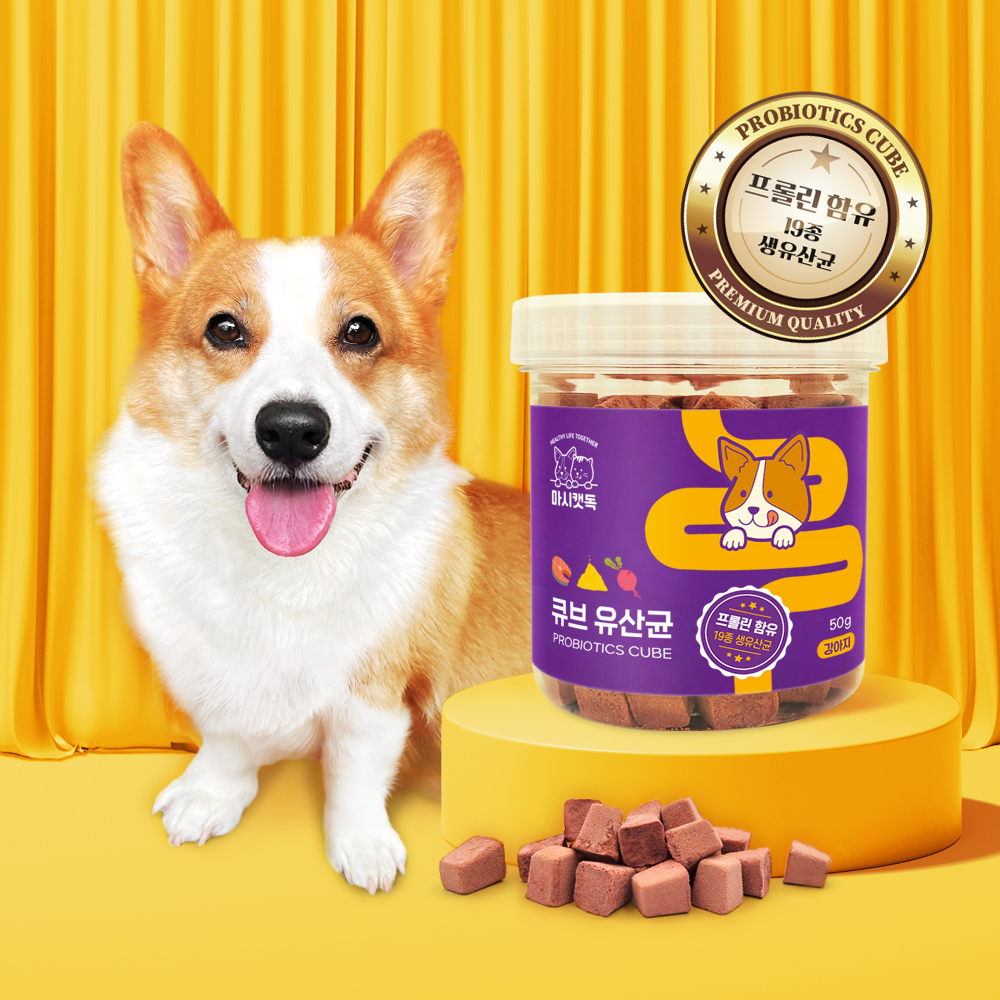 마시캣독 큐브 유산균 50g 변비 프로바이오틱스 영양제 - 상세 이미지 3