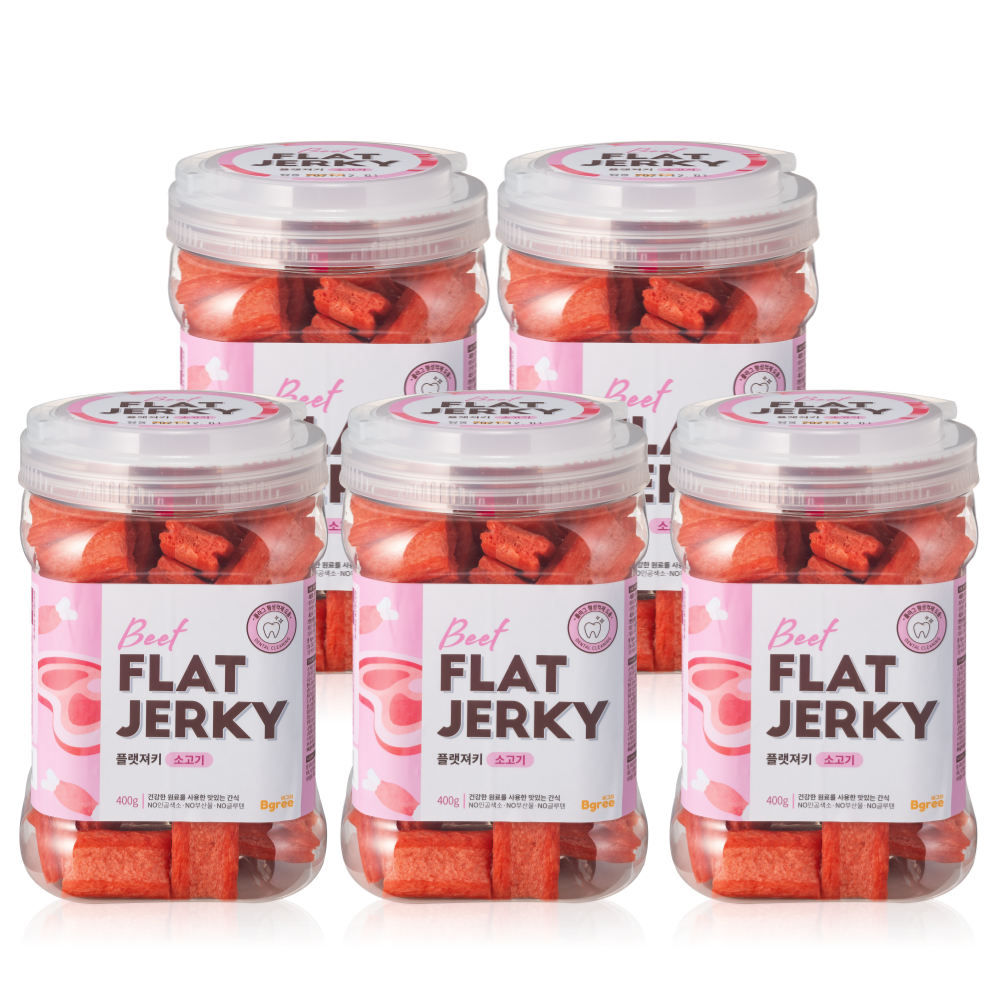 비그리 플랫져키 강아지 반려견 간식 개껌 덴탈 양치껌 치석제거껌 소고기, 400g, 5개 - 상품 이미지