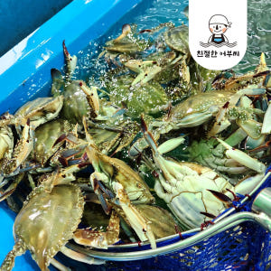 서해안 숫꽃게 활꽃게 생물 급냉 냉동 수산물이력제 친절한어부씨 맛있게 먹은 솔직 후기 - 상품 이미지 2