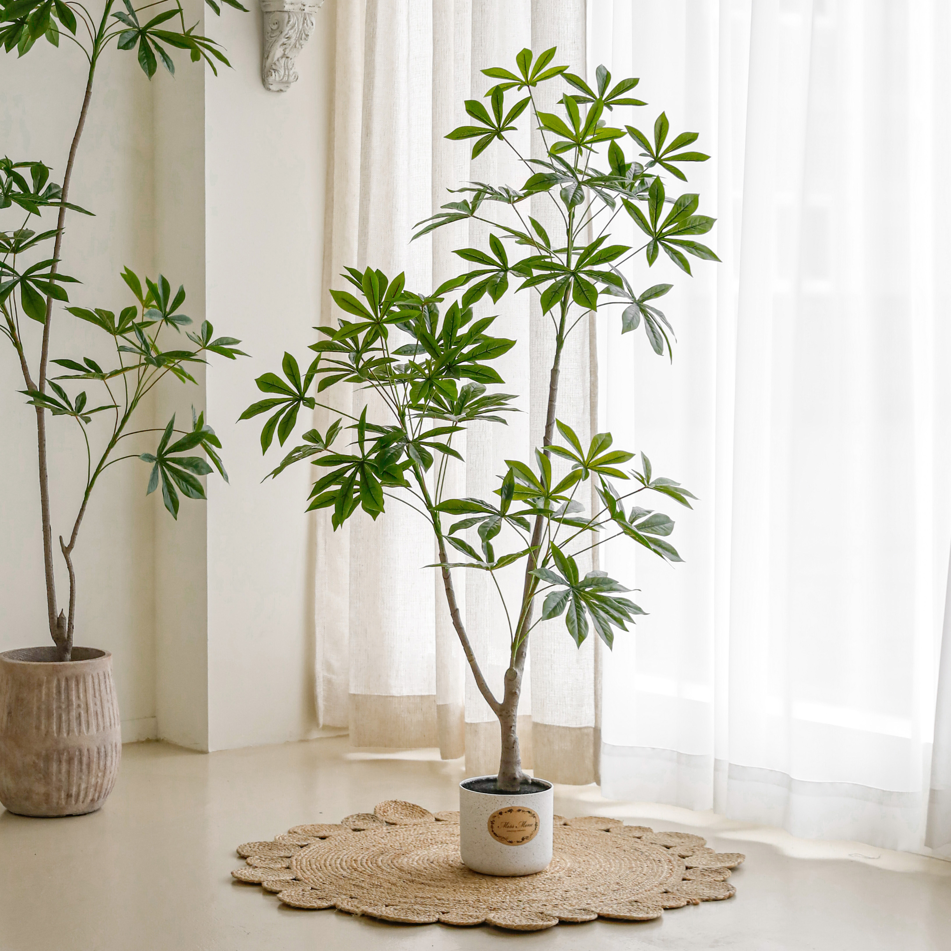 쉐프렐라 홍콩야자 파키라 인테리어 인조목 조화 나무 화분 카페 거실 조경 A150cm - 메인 이미지