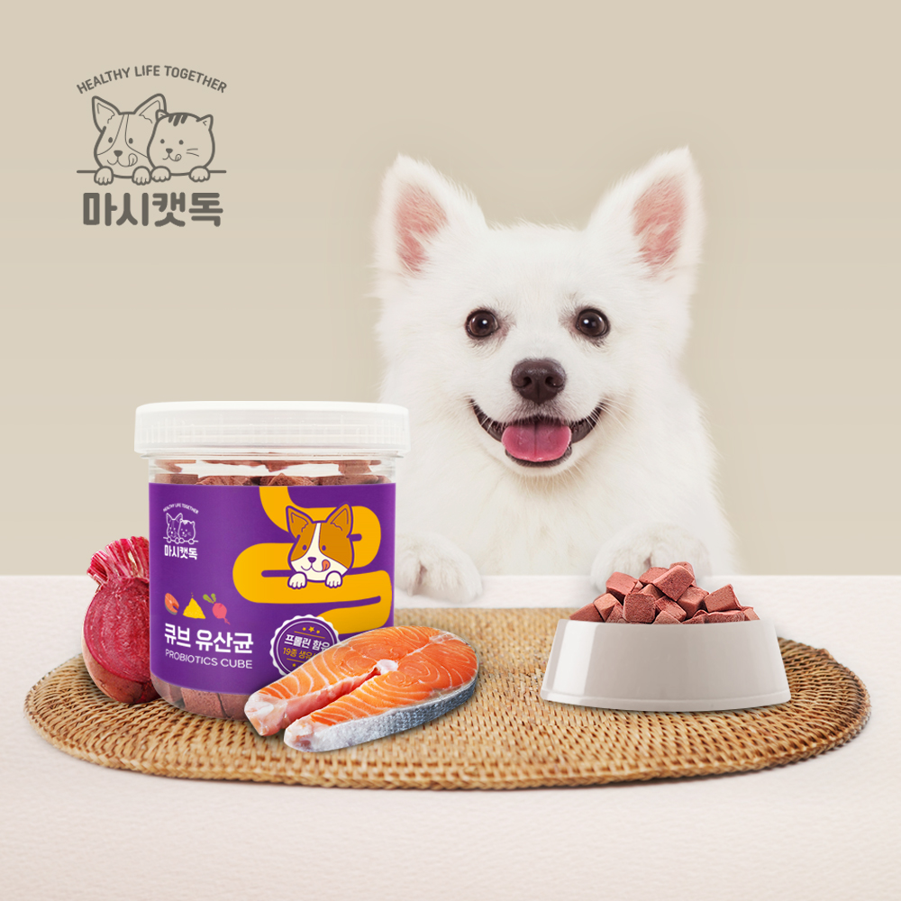 마시캣독 큐브 유산균 50g 변비 프로바이오틱스 영양제 이미지 8