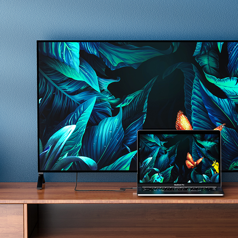 호코 UA16 HDMI C타입 2M 60Hz 미러링 케이블 4K HD - 상세 이미지 4