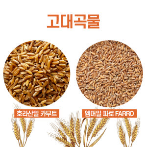 최근생산 카무트호라산밀 그레인온 파로 곡물 FARRO파로쌀 2kg 엠머밀 맛있게 먹은 솔직 후기 - 상품 이미지 3